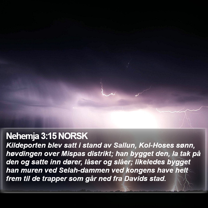 Nehemja 3:15 NORSK Bible Study