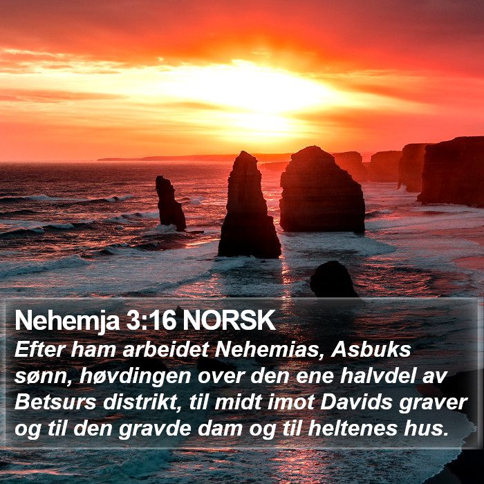 Nehemja 3:16 NORSK Bible Study