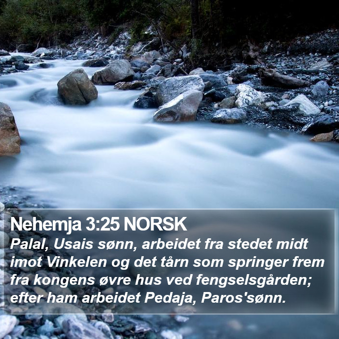 Nehemja 3:25 NORSK Bible Study