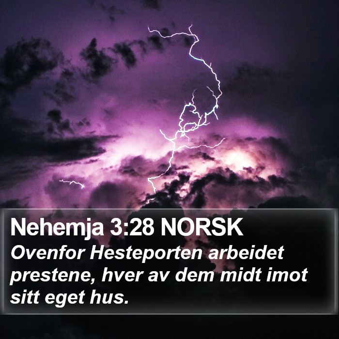 Nehemja 3:28 NORSK Bible Study