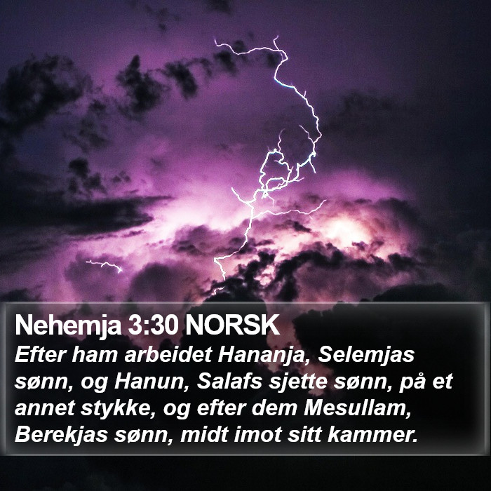 Nehemja 3:30 NORSK Bible Study