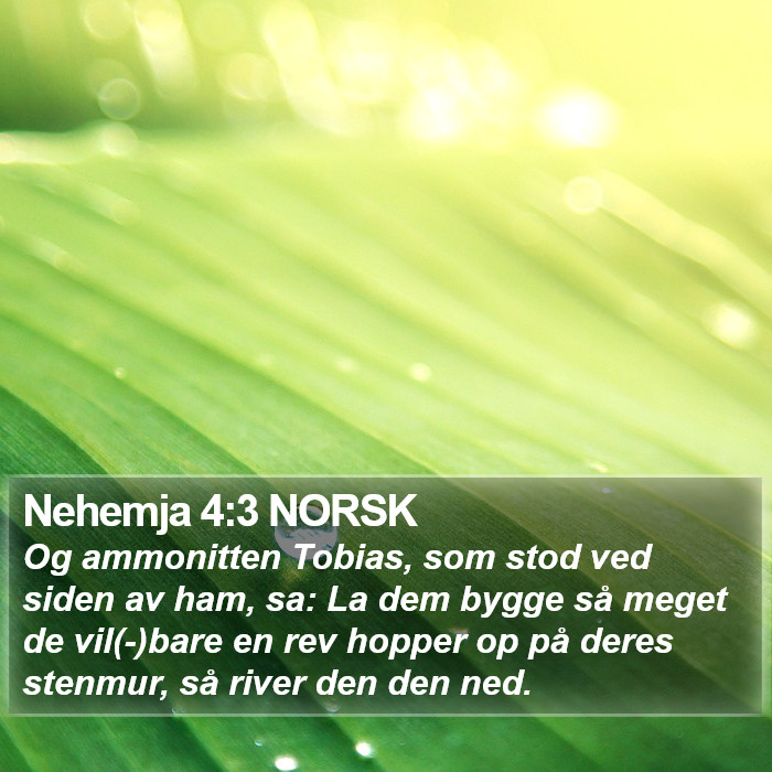 Nehemja 4:3 NORSK Bible Study