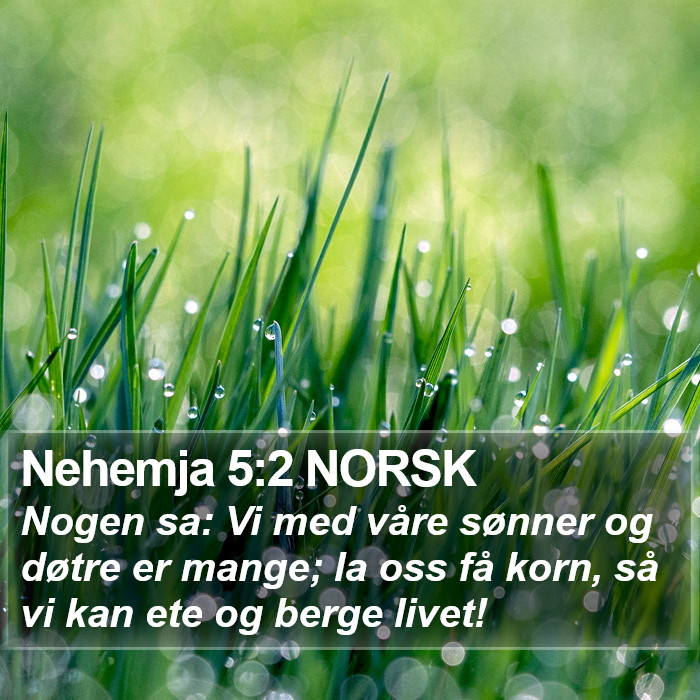 Nehemja 5:2 NORSK Bible Study