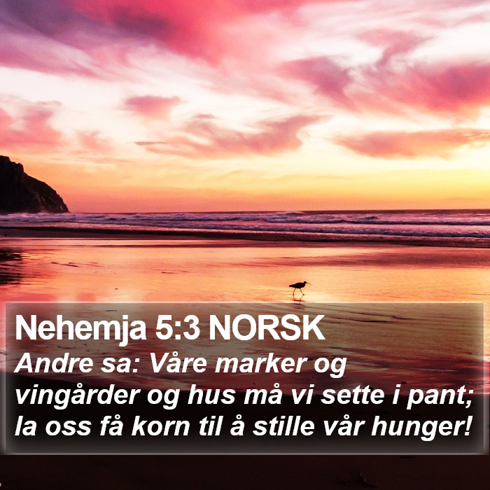 Nehemja 5:3 NORSK Bible Study