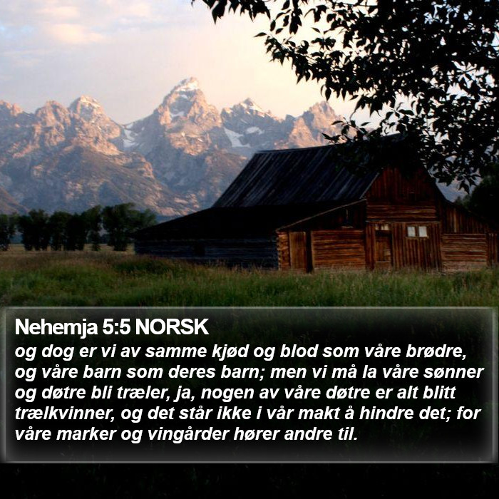 Nehemja 5:5 NORSK Bible Study