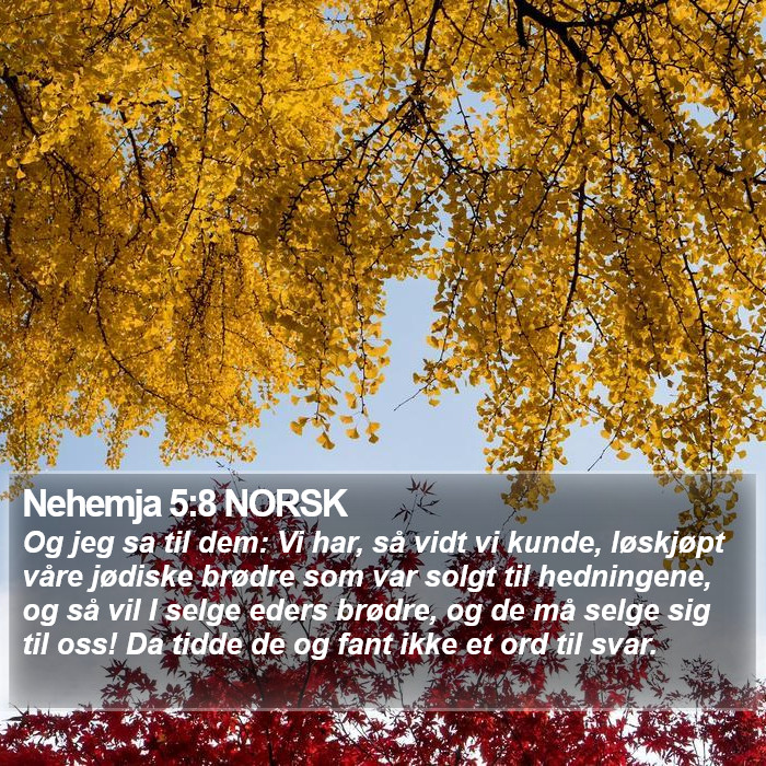 Nehemja 5:8 NORSK Bible Study