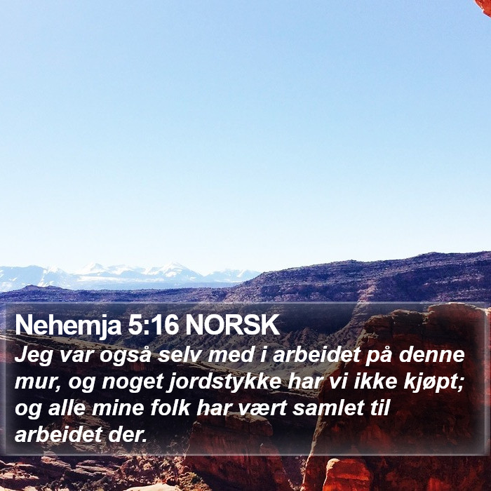 Nehemja 5:16 NORSK Bible Study