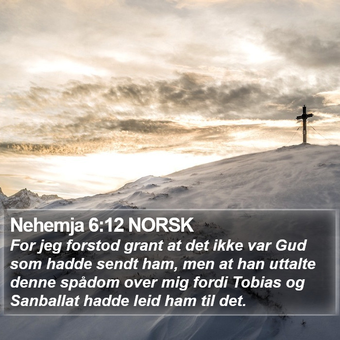 Nehemja 6:12 NORSK Bible Study