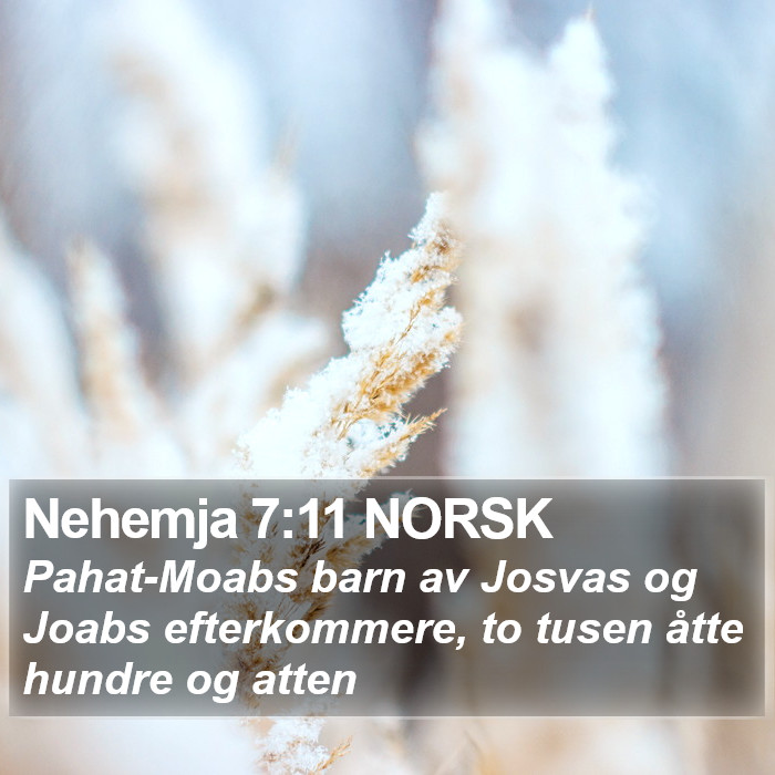 Nehemja 7:11 NORSK Bible Study