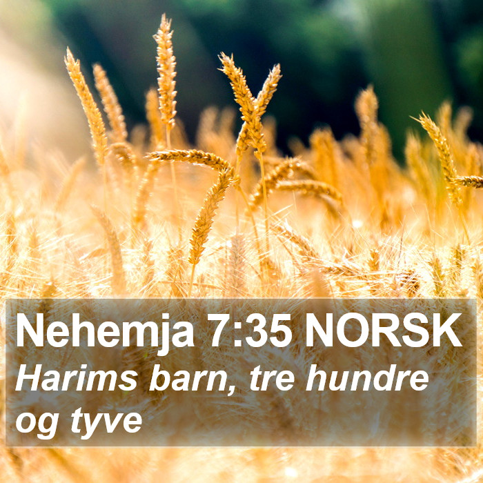 Nehemja 7:35 NORSK Bible Study