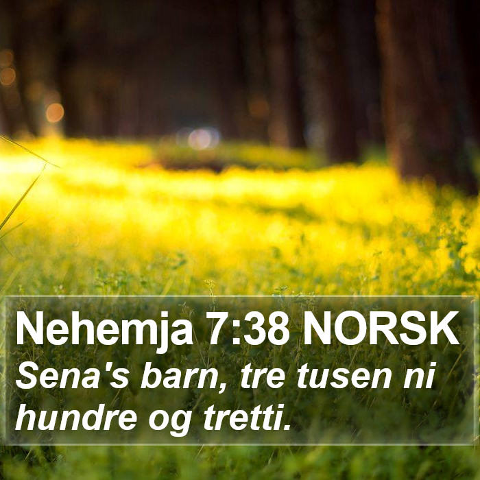 Nehemja 7:38 NORSK Bible Study