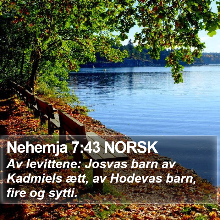 Nehemja 7:43 NORSK Bible Study