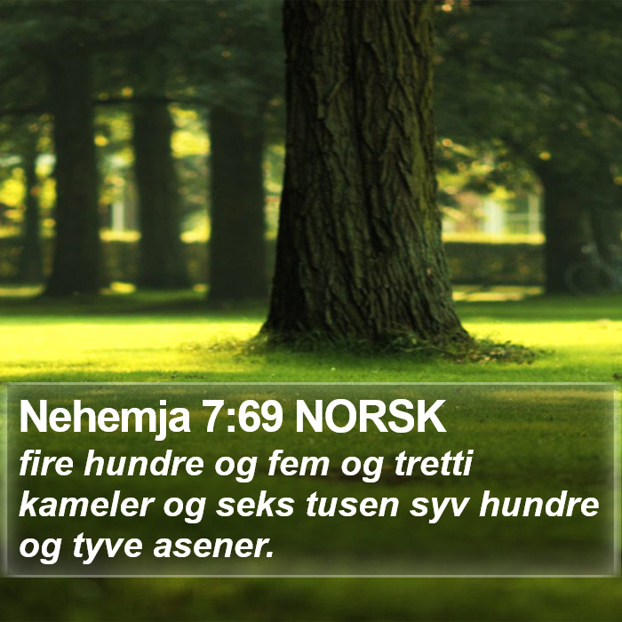 Nehemja 7:69 NORSK Bible Study