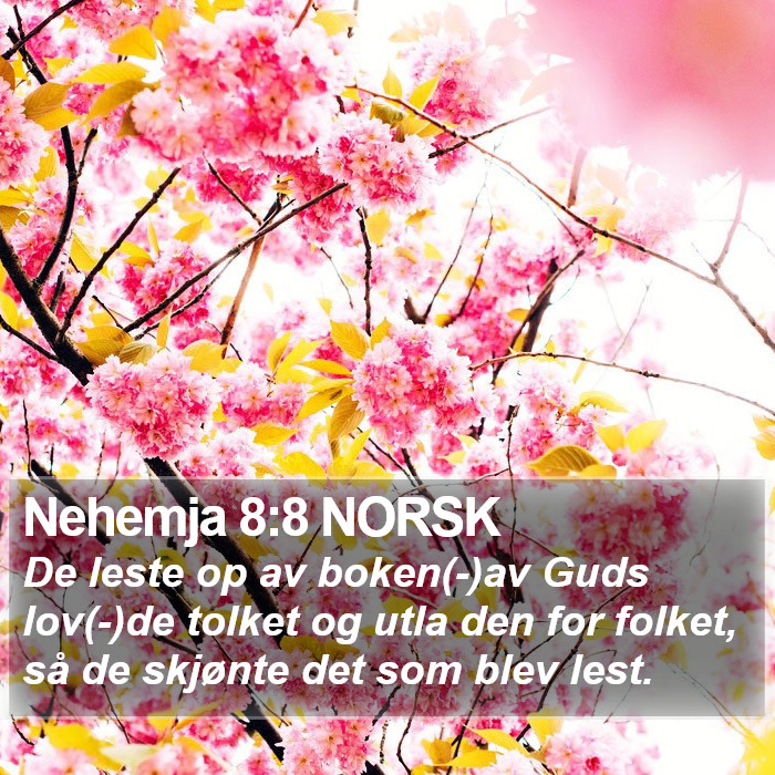 Nehemja 8:8 NORSK Bible Study