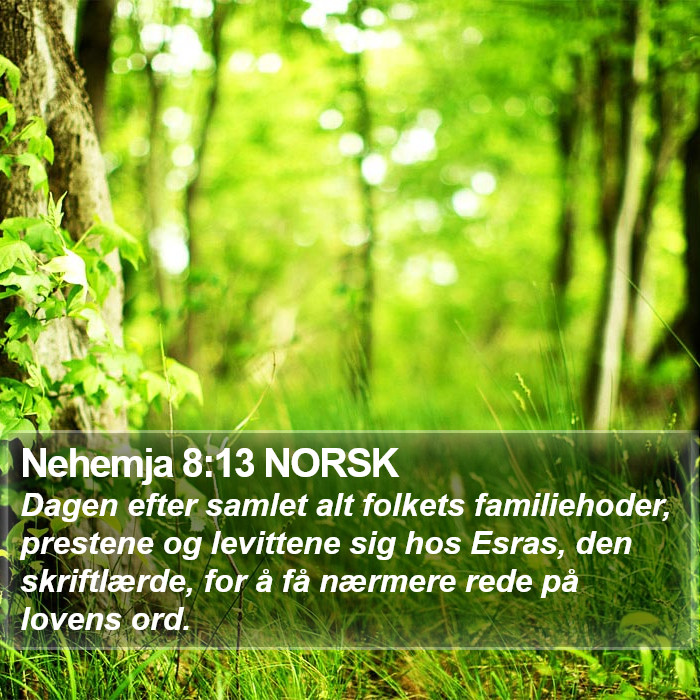 Nehemja 8:13 NORSK Bible Study