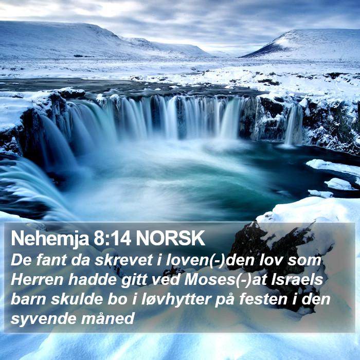 Nehemja 8:14 NORSK Bible Study