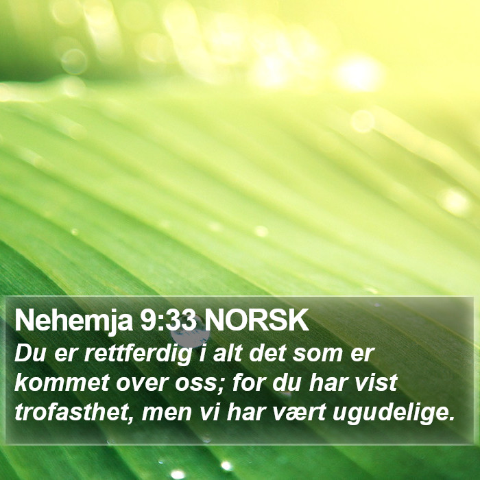 Nehemja 9:33 NORSK Bible Study