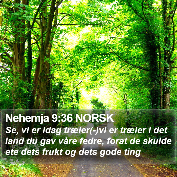 Nehemja 9:36 NORSK Bible Study