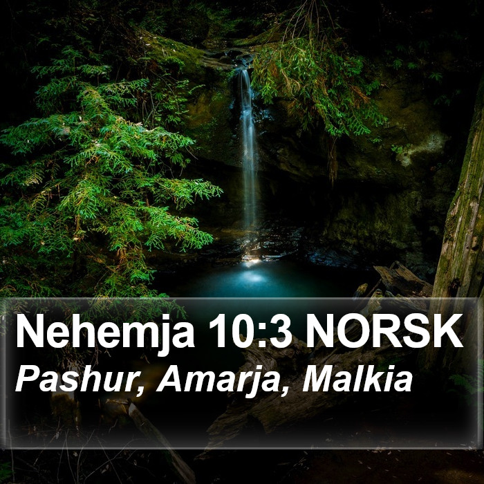 Nehemja 10:3 NORSK Bible Study