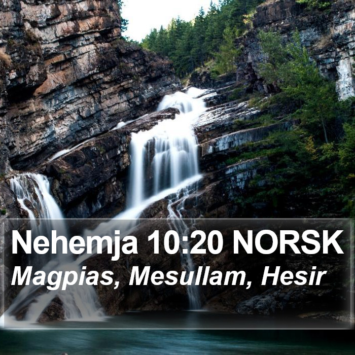 Nehemja 10:20 NORSK Bible Study