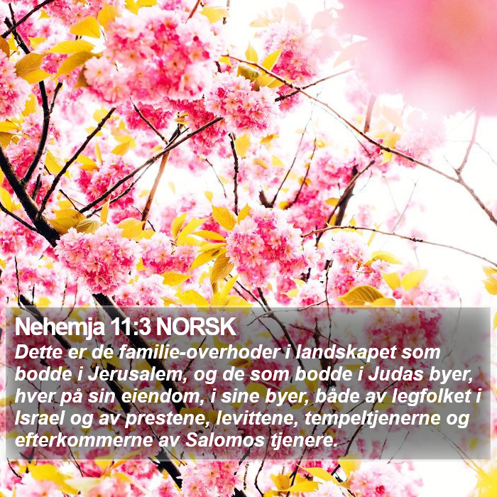 Nehemja 11:3 NORSK Bible Study