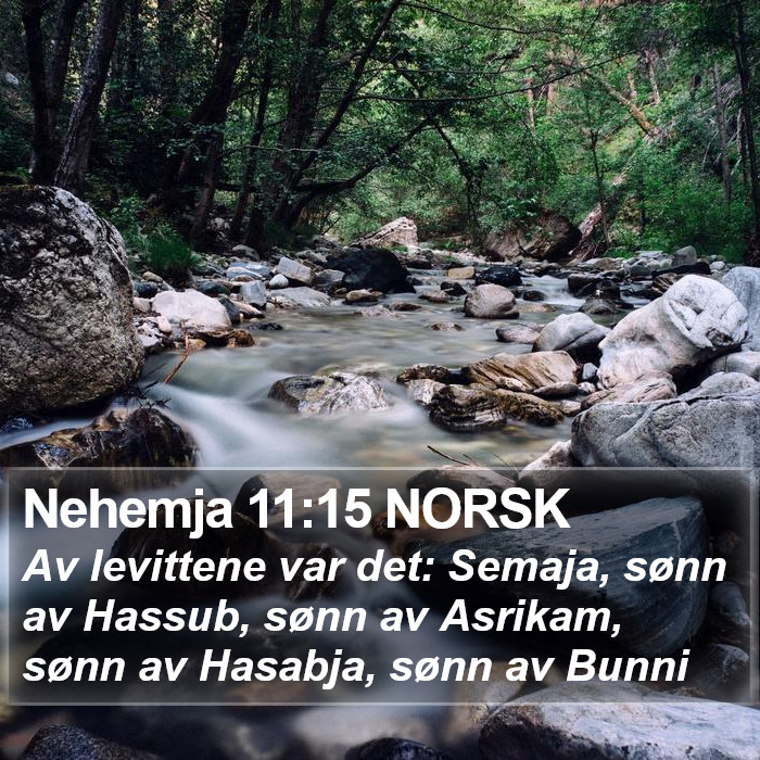 Nehemja 11:15 NORSK Bible Study