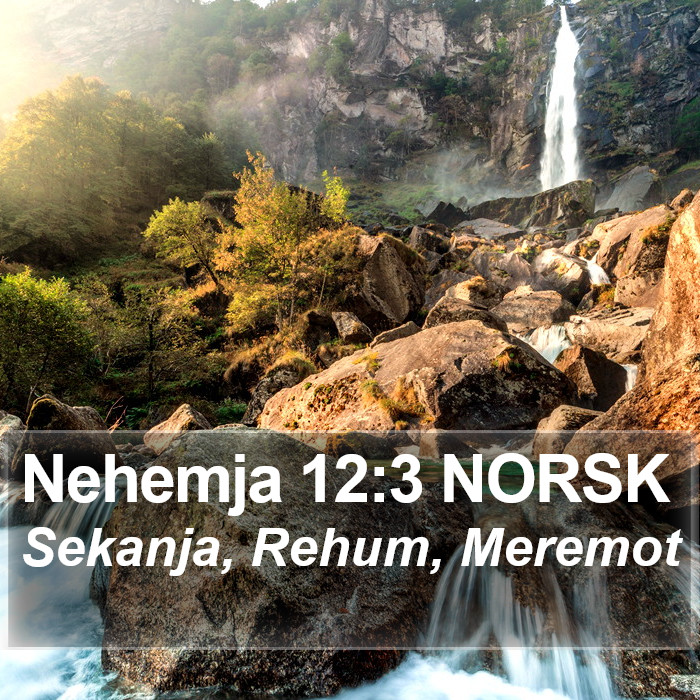 Nehemja 12:3 NORSK Bible Study