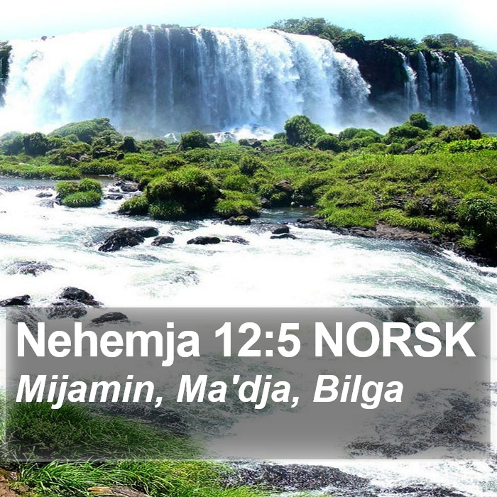 Nehemja 12:5 NORSK Bible Study