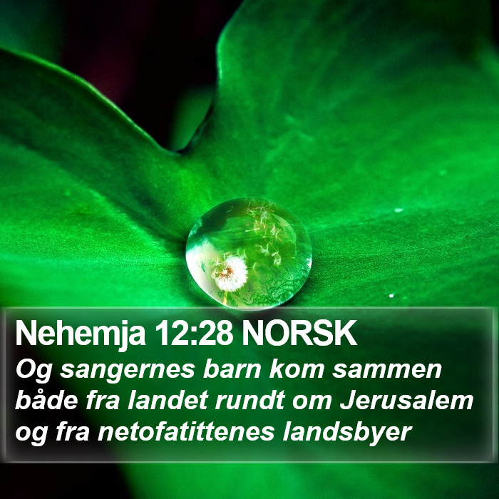 Nehemja 12:28 NORSK Bible Study