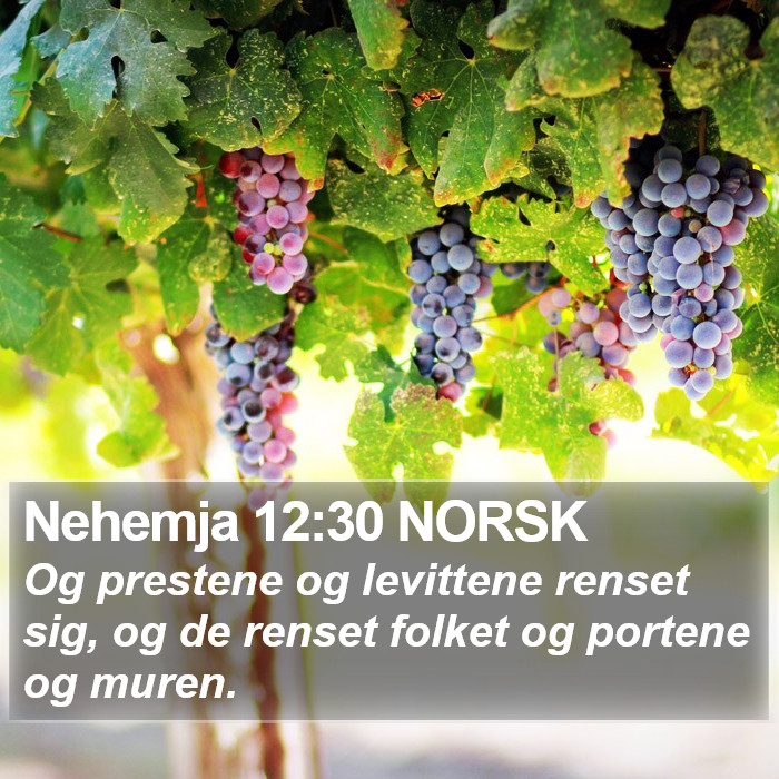 Nehemja 12:30 NORSK Bible Study