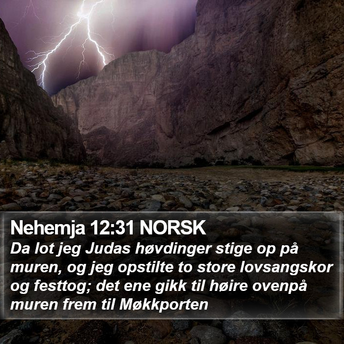 Nehemja 12:31 NORSK Bible Study