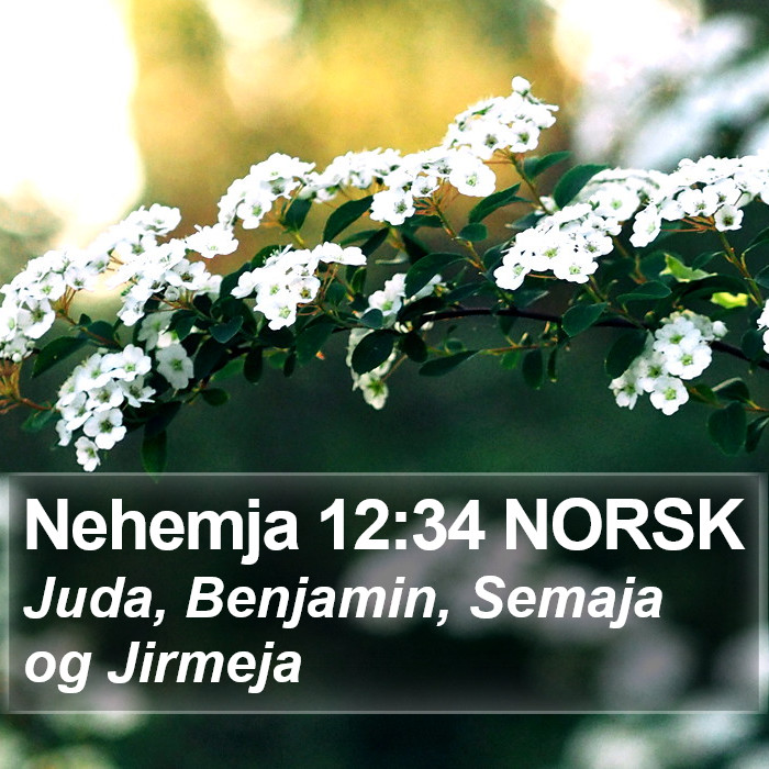 Nehemja 12:34 NORSK Bible Study