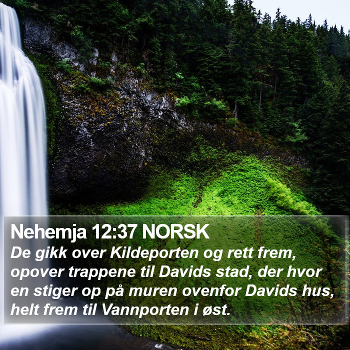 Nehemja 12:37 NORSK Bible Study