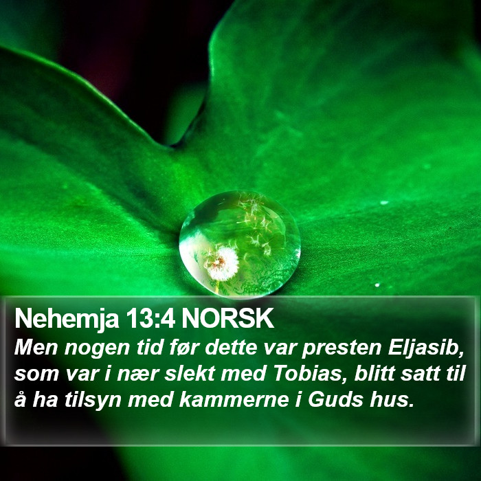 Nehemja 13:4 NORSK Bible Study