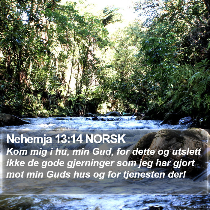 Nehemja 13:14 NORSK Bible Study