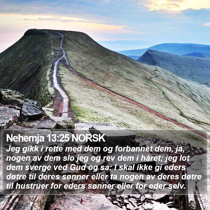 Nehemja 13:25 NORSK Bible Study