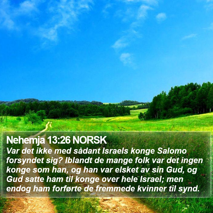 Nehemja 13:26 NORSK Bible Study