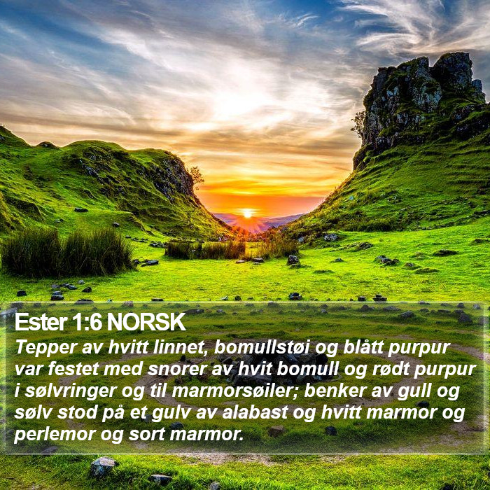 Ester 1:6 NORSK Bible Study