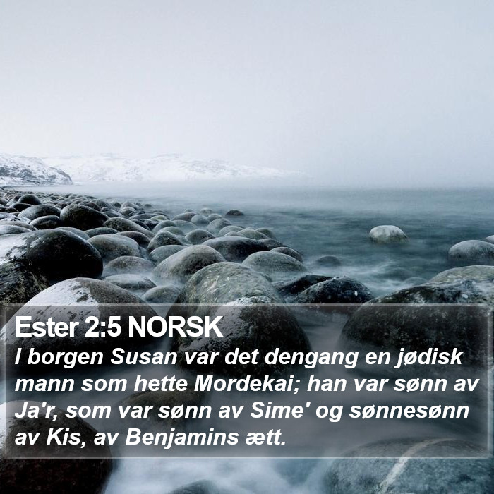 Ester 2:5 NORSK Bible Study