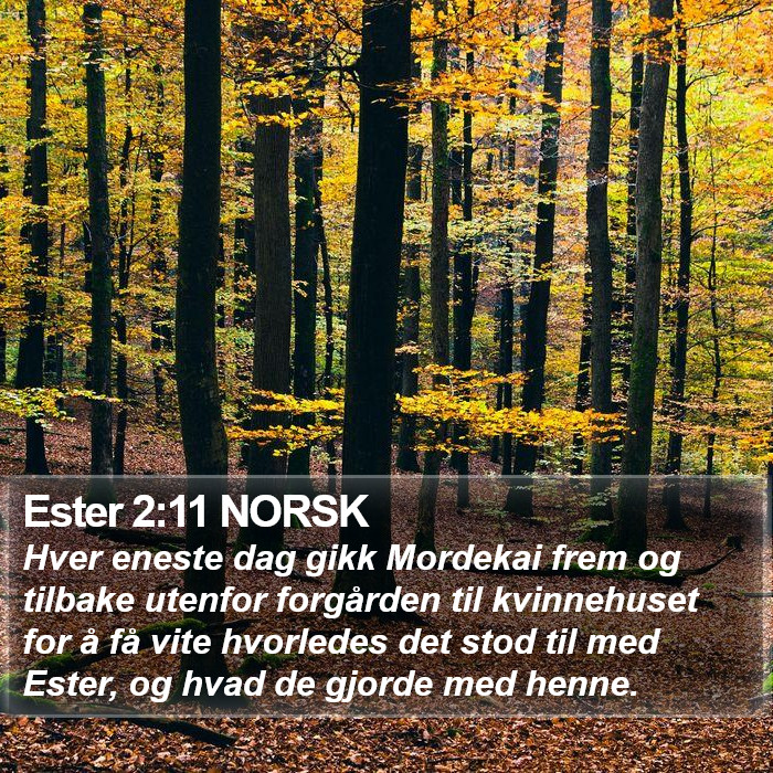 Ester 2:11 NORSK Bible Study