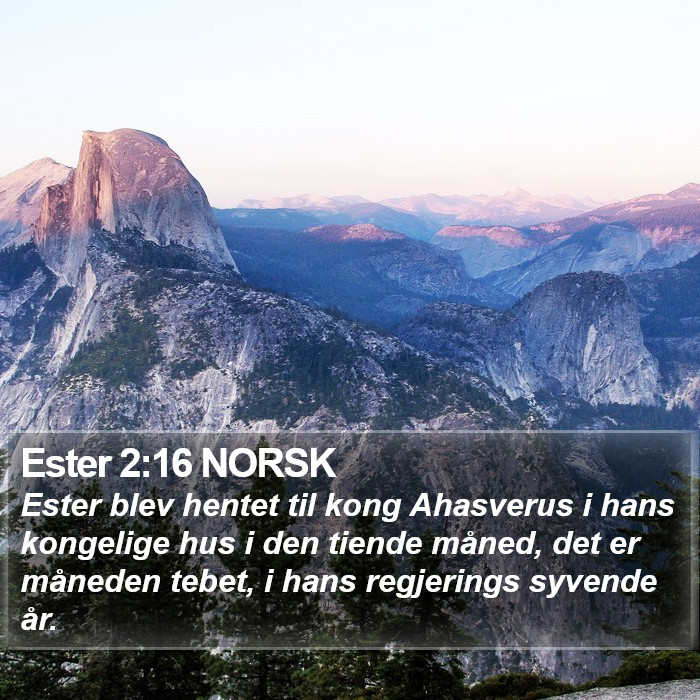 Ester 2:16 NORSK Bible Study