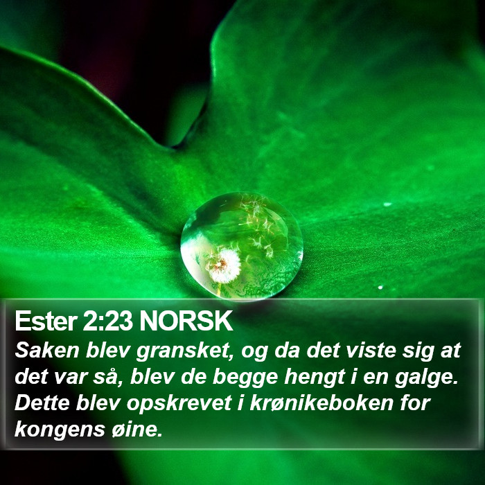 Ester 2:23 NORSK Bible Study