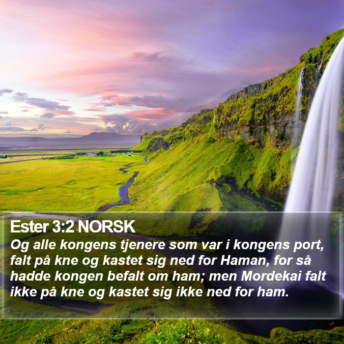 Ester 3:2 NORSK Bible Study