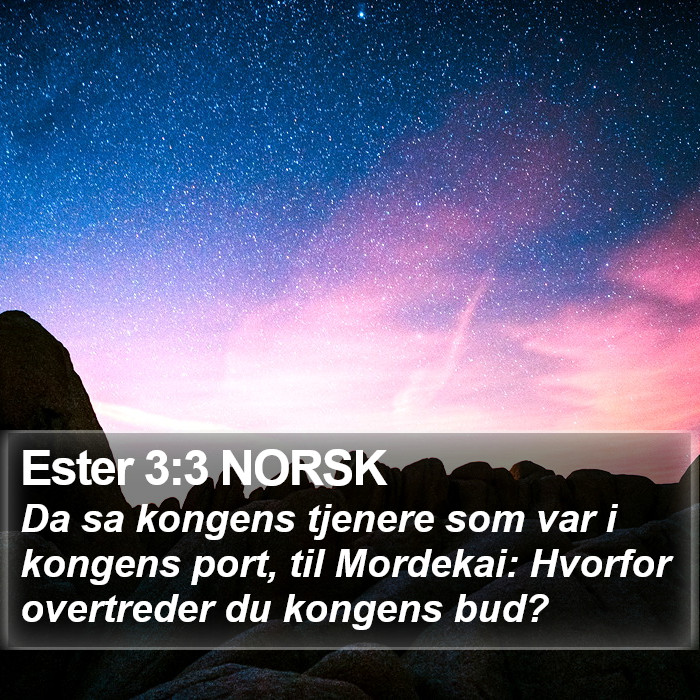 Ester 3:3 NORSK Bible Study
