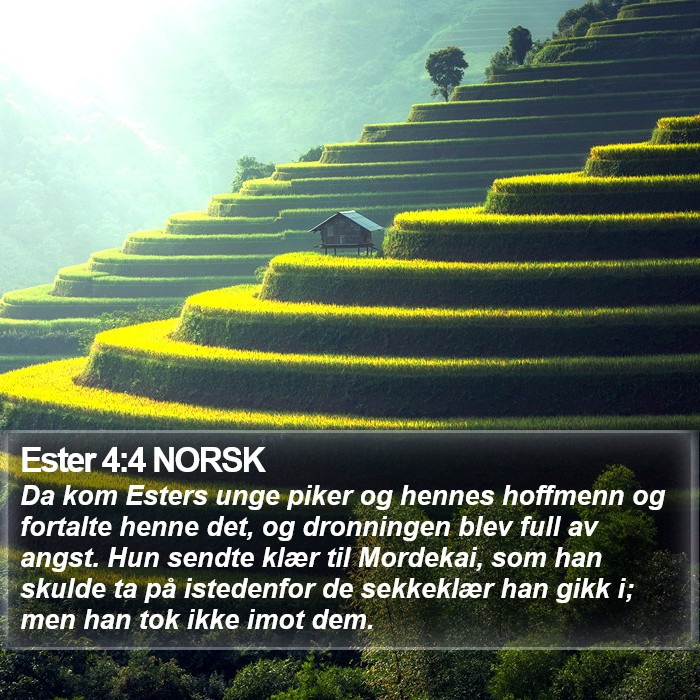 Ester 4:4 NORSK Bible Study