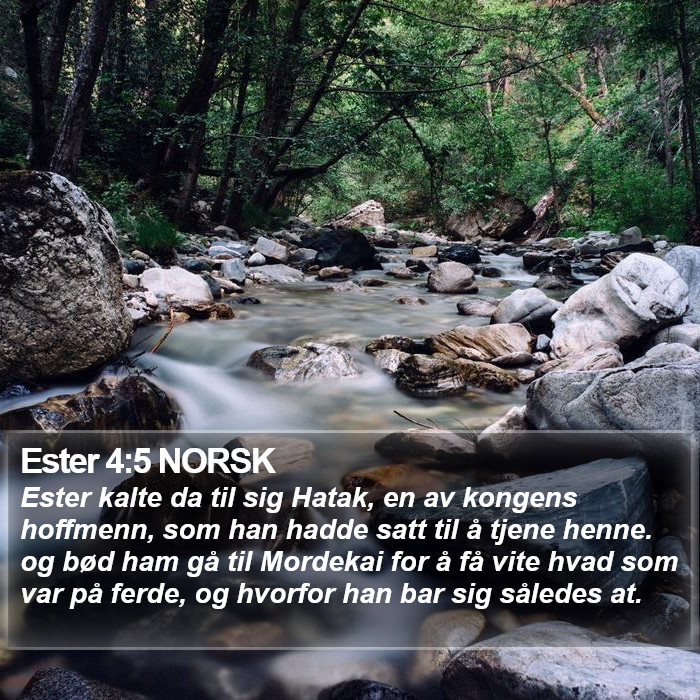 Ester 4:5 NORSK Bible Study