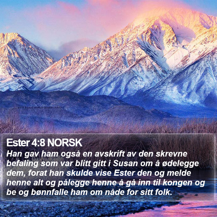 Ester 4:8 NORSK Bible Study