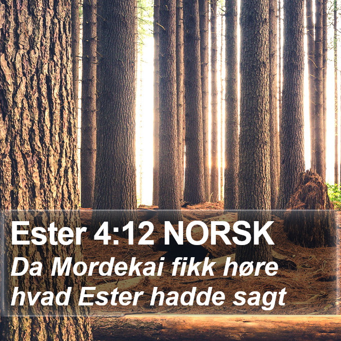 Ester 4:12 NORSK Bible Study