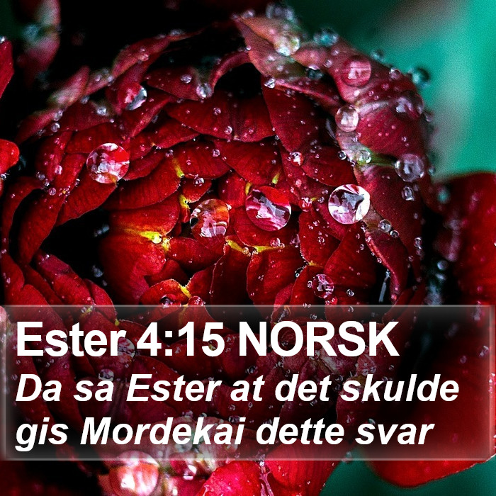 Ester 4:15 NORSK Bible Study