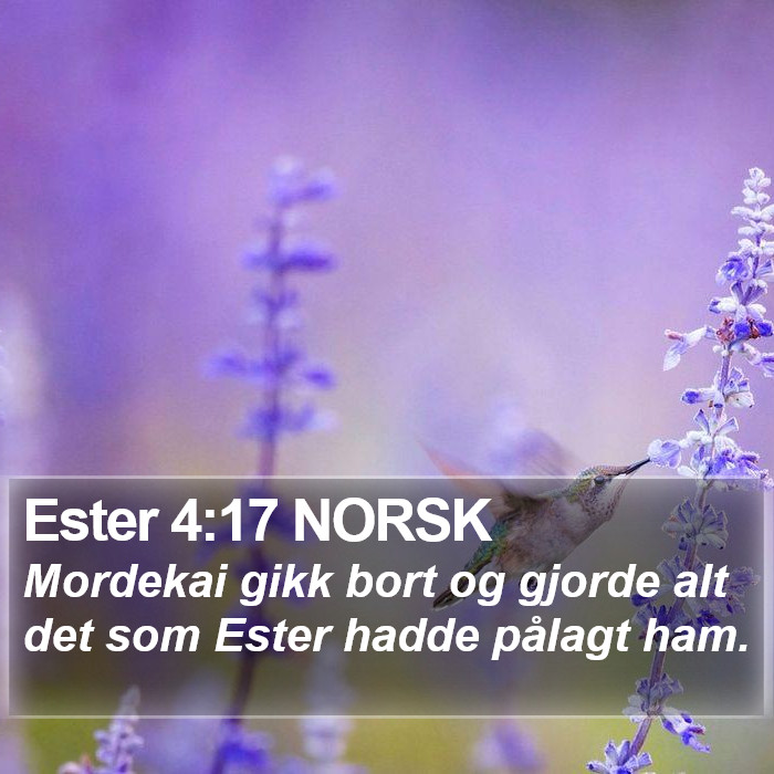 Ester 4:17 NORSK Bible Study